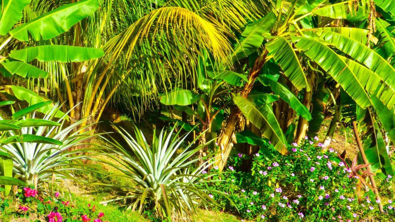 Mouggae Blues Villas Бо-Валлон Екстер'єр фото